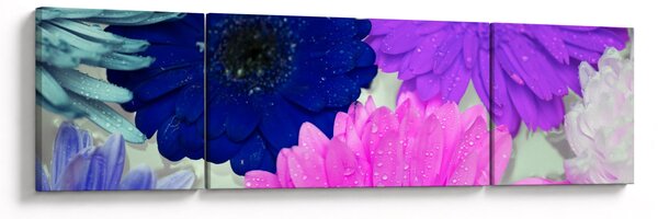 Obraz barevných květin (170x50 cm)
