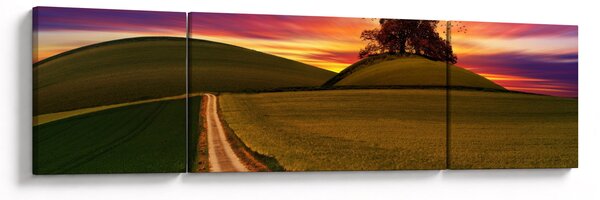 Obraz pole se západem slunce (170x50 cm)