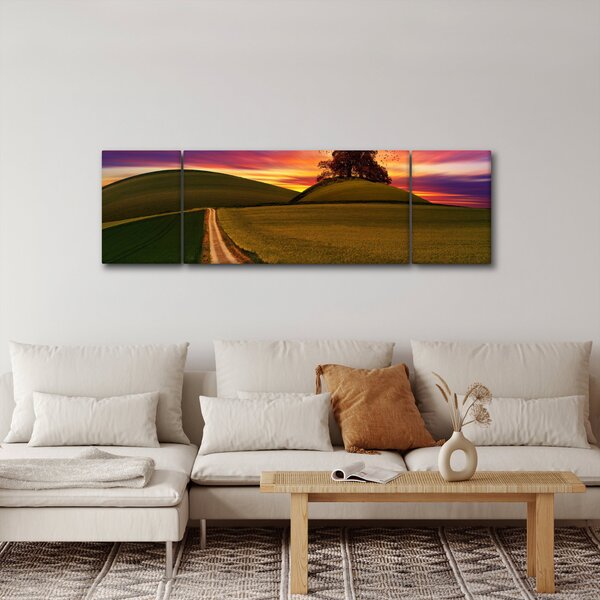 Obraz pole a barevného nebe (170x50 cm)