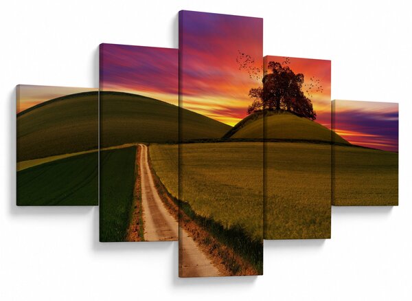 Obraz pole se západem slunce (125x70 cm)