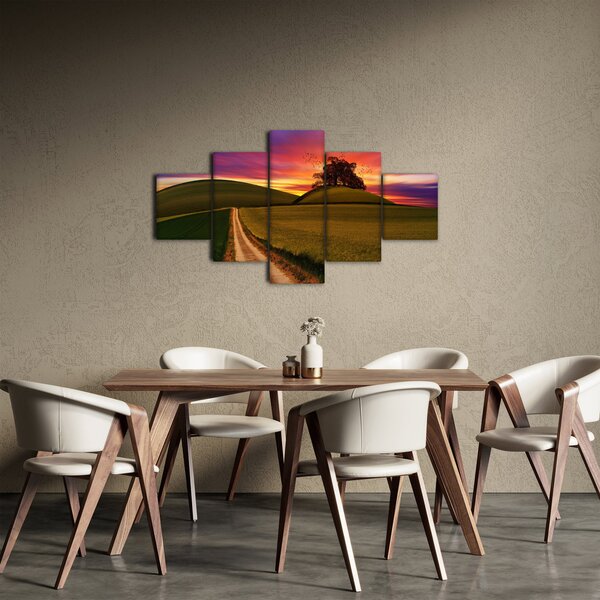 Obraz pole a barevného nebe (125x70 cm)
