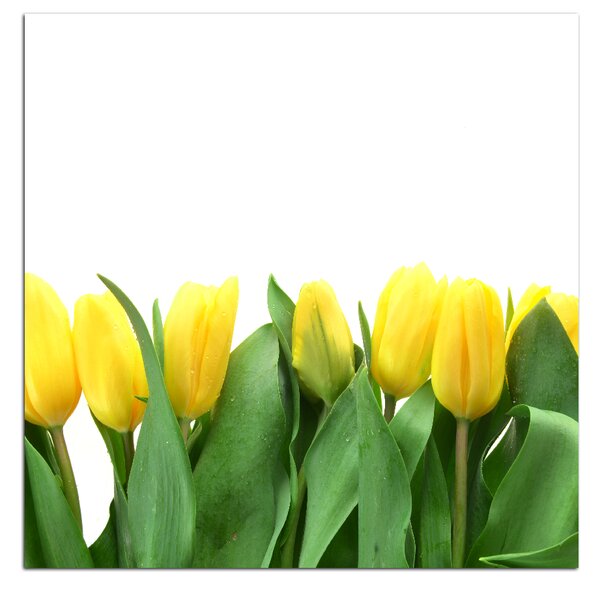 Obraz na plátně - Žluté tulipány - čtverec 303A (50x50 cm)
