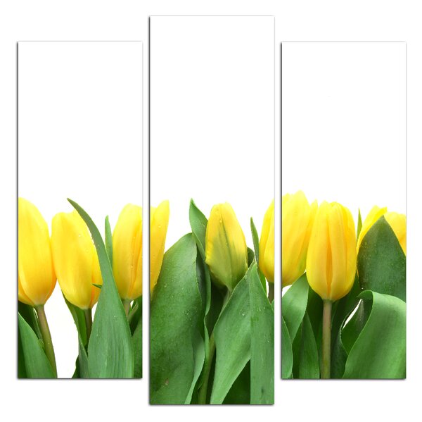 Obraz na plátně - Žluté tulipány - čtverec 303C (75x75 cm)