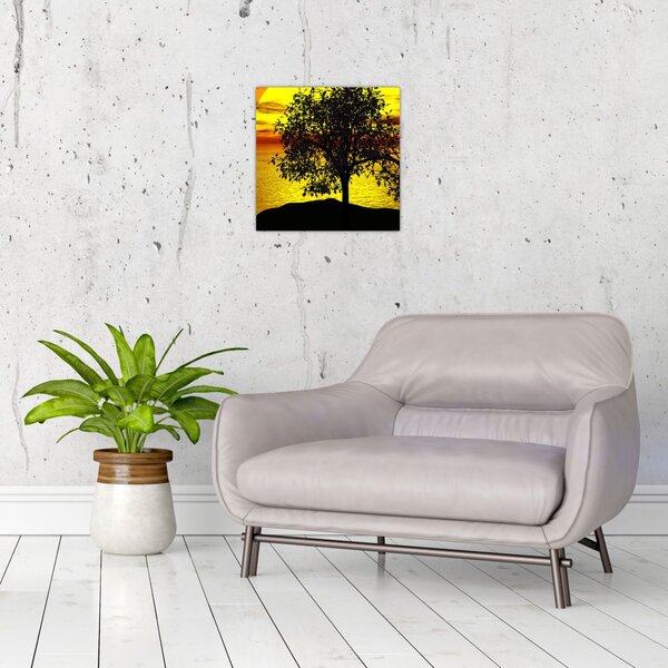 Obraz siluety stromu (30x30 cm)