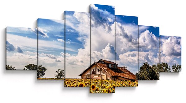 Obraz slunečnicového pole (210x100 cm)