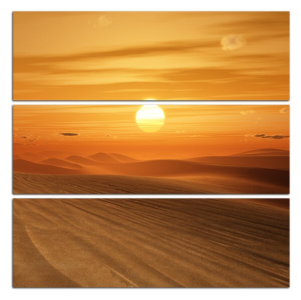Obraz na plátně - Pouštní západ slunce - čtverec 3917D (100x100 cm)