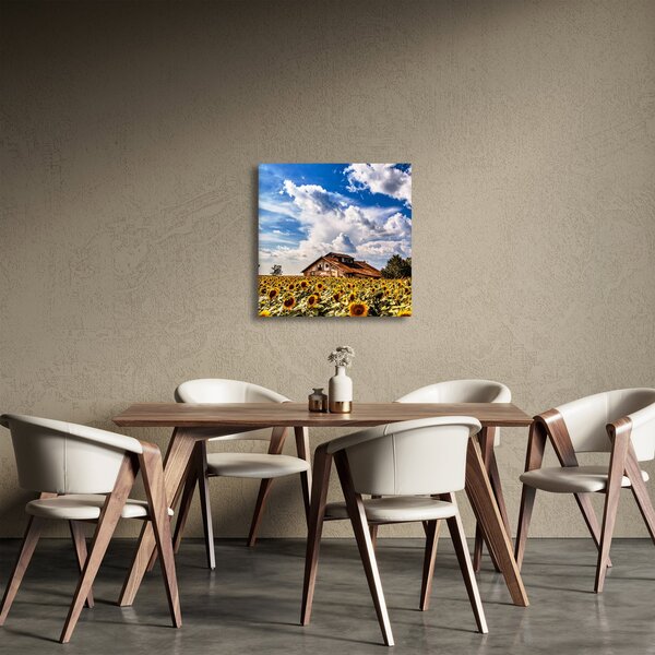 Obraz slunečnicového pole (30x30 cm)