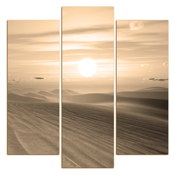 Obraz na plátně - Pouštní západ slunce - čtverec. 3917FC (75x75 cm)