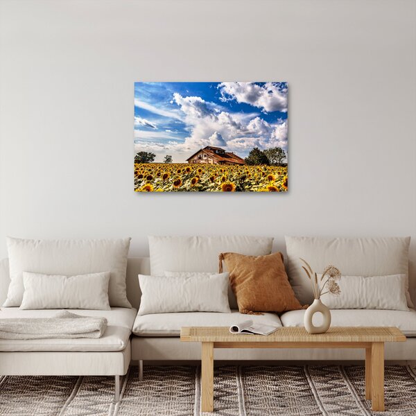 Obraz slunečnicového pole (70x50 cm)