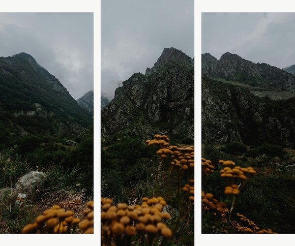 Mlhavé horské údolí s divokými květy – Třídílný obraz B, 120 × 100 cm