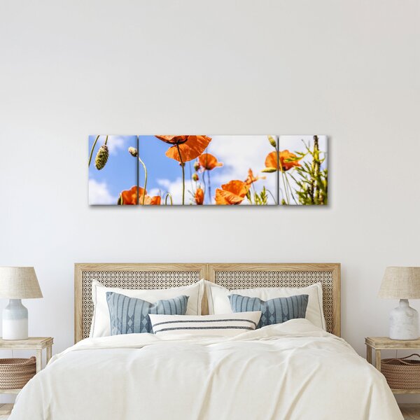 Obraz vlčích máků (170x50 cm)