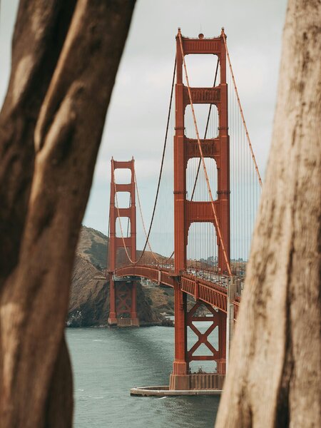 Golden Gate Bridge mezi kmeny stromů – Jednodílný obraz, 30 × 40 cm