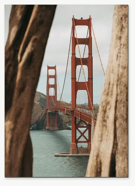 Golden Gate Bridge mezi kmeny stromů – Jednodílný obraz, 50 × 70 cm
