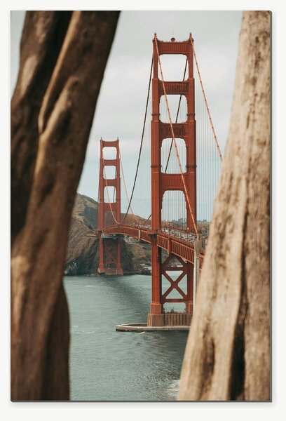Golden Gate Bridge mezi kmeny stromů – Jednodílný obraz, 40 × 60 cm
