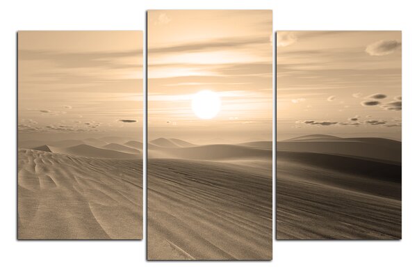 Obraz na plátně - Pouštní západ slunce 1917FC (150x100 cm)