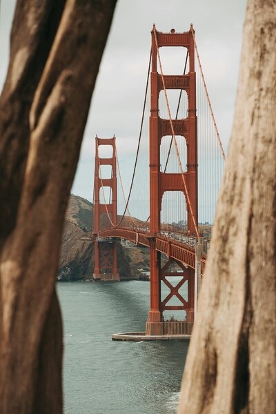 Golden Gate Bridge mezi kmeny stromů – Jednodílný obraz, 40 × 60 cm