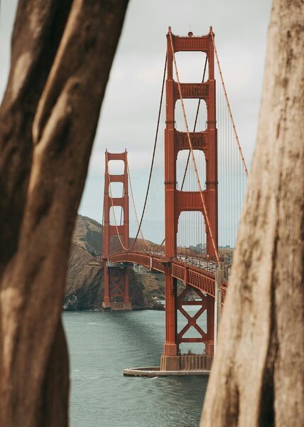Golden Gate Bridge mezi kmeny stromů – Jednodílný obraz, 50 × 70 cm