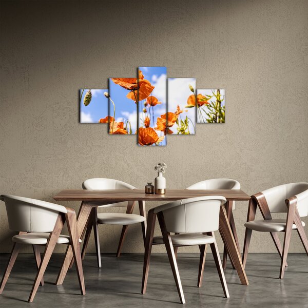 Obraz vlčích máků (125x70 cm)