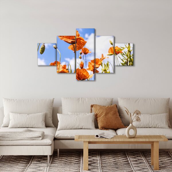 Obraz vlčích máků (125x70 cm)