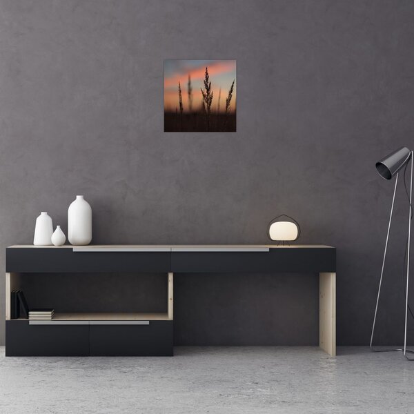 Obraz - Silueta rostliny (30x30 cm)