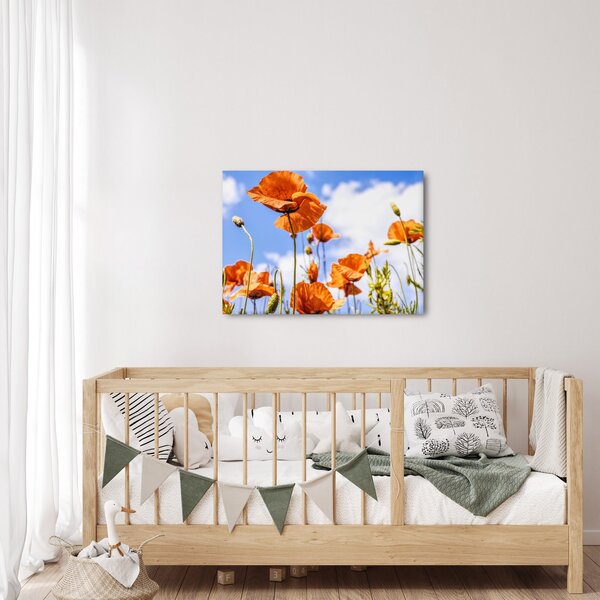 Obraz vlčích máků (70x50 cm)