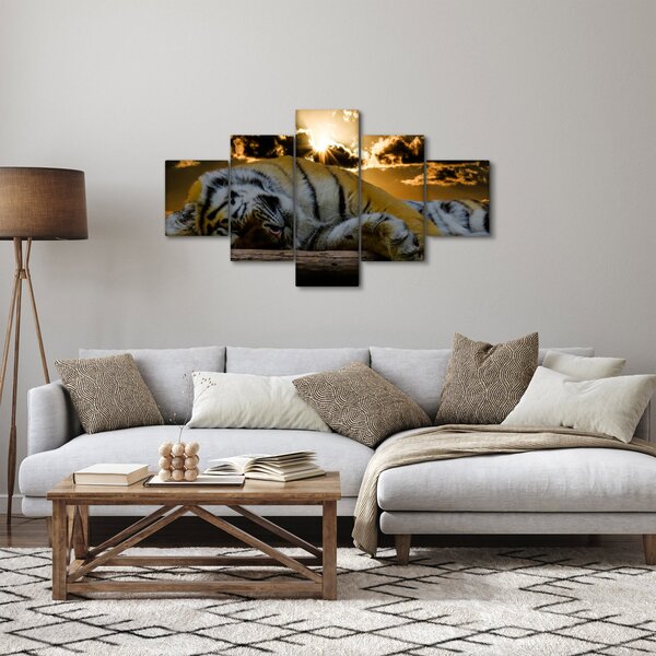 Obraz spícího tygra (125x70 cm)