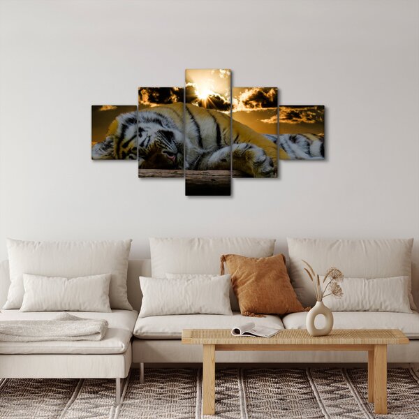 Obraz spícího tygra (125x70 cm)