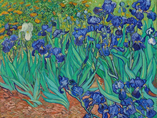 Modré kosatce v zahradě – Jednodílný obraz, 40 × 30 cm