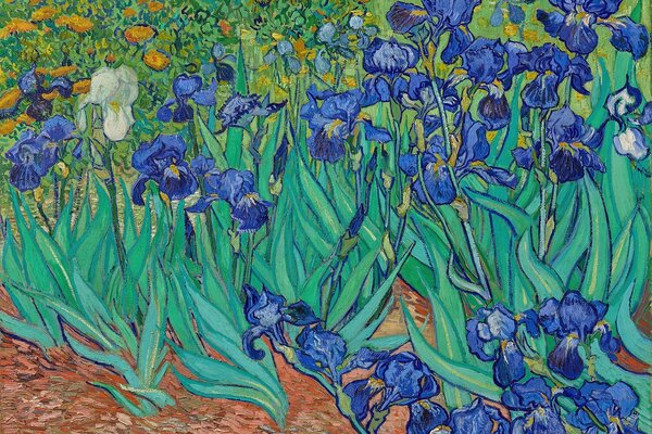 Modré kosatce v zahradě – Jednodílný obraz, 60 × 40 cm