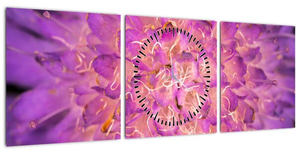 Detailní obraz květu (s hodinami) (90x30 cm)