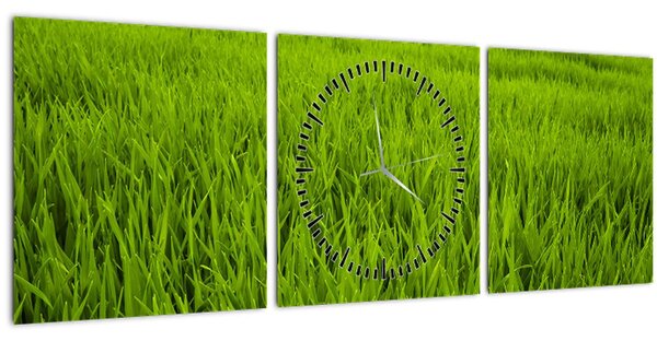 Obraz trávy (s hodinami) (90x30 cm)