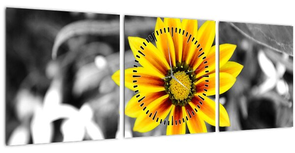 Obraz žluté květiny (s hodinami) (90x30 cm)