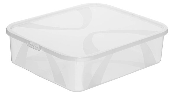 Úložný box, transparentní krabice s víkem, Rotho LONA, 42x35x11 (12l)
