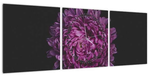 Obraz fialové květiny (s hodinami) (90x30 cm)