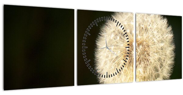Obraz šedé pampelišky (s hodinami) (90x30 cm)