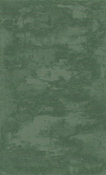 BE Koberec Eforia 9551 GREEN - zelený obdélníkový Rozměr: 60x100 cm
