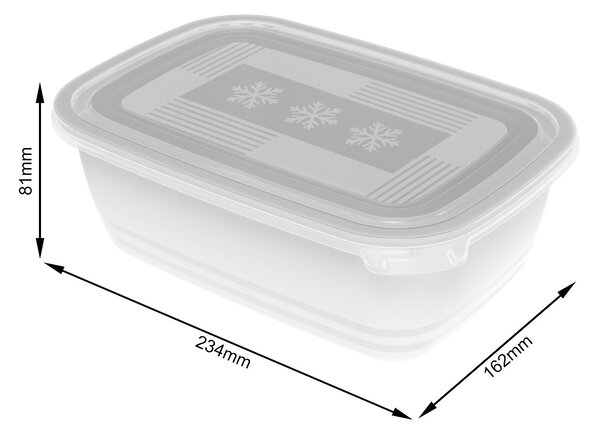 Plastové krabičky do mrazáku, Rotho FREEZE, bílá, sada 2 x 1,9l (24x16x8)