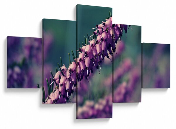 Obraz levandule (125x70 cm)
