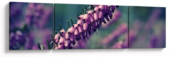 Obraz fialové květiny (170x50 cm)