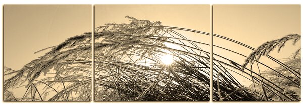 Obraz na plátně - Zimní ráno - panoráma 545FC (90x30 cm)
