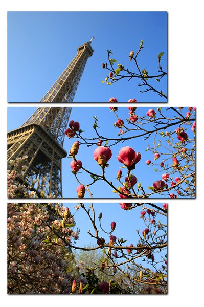 Obraz na plátně - Eiffelova věž v jarním období - obdélník 734C (105x70 cm)