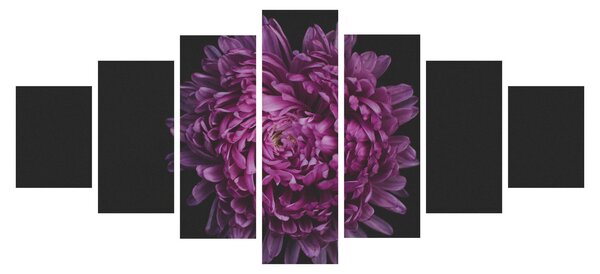 Obraz fialové květiny (210x100 cm)