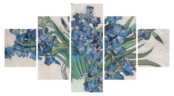 Obraz - Vincent van Gogh, Irises, reprodukce (125x70 cm)
