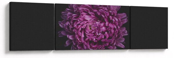 Obraz fialové květiny (170x50 cm)