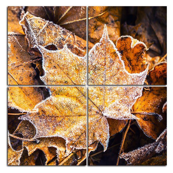 Obraz na plátně - Javorové listí - čtverec 353D (100x100 cm)