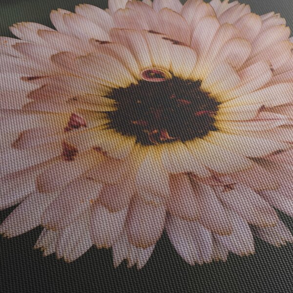 Obraz oranžové květiny (s hodinami) (90x30 cm)