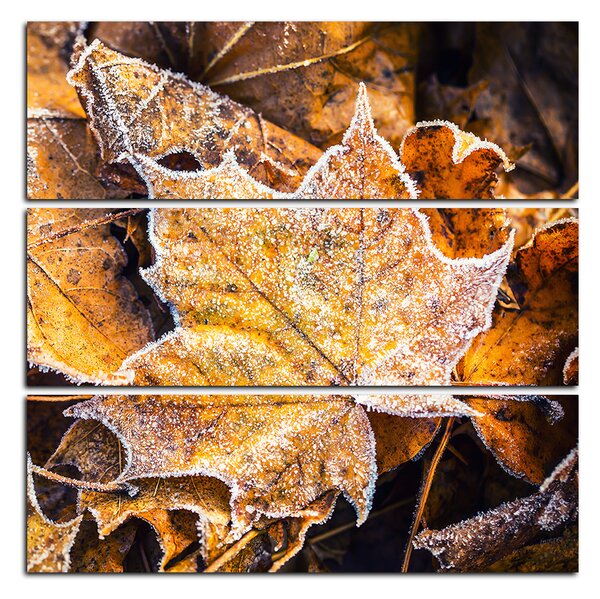 Obraz na plátně - Javorové listí - čtverec 353C (105x105 cm)