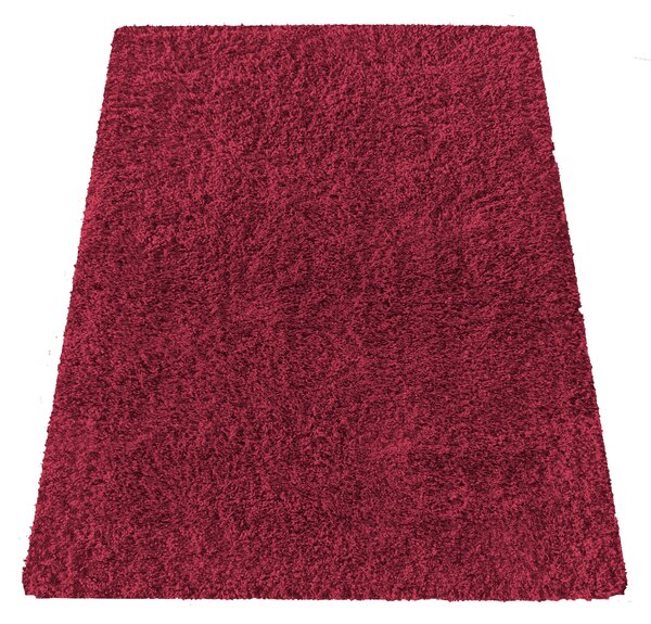 DY Červený neklouzavý koberec shaggy Camel Rozměr: 200x290 cm