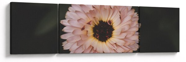 Obraz oranžové květiny (170x50 cm)