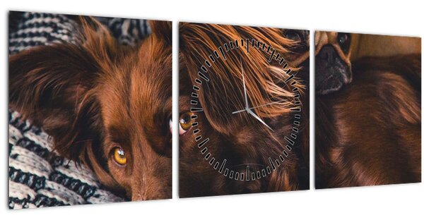 Obraz ležících psů (s hodinami) (90x30 cm)